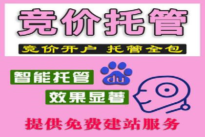 网络推广开户实战：从理论到实践的案例